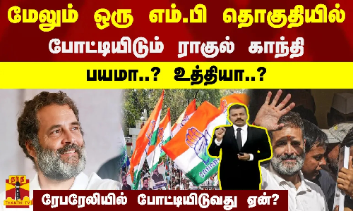 மேலும் ஒரு எம்.பி தொகுதியில் போட்டியிடும் ராகுல் காந்தி பயமா? உத்தியா? - ரேபரேலியில் ராகுல் காந்தி போட்டியிடுவது ஏன்?
