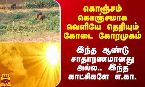 கொஞ்சம் கொஞ்சமாக வெளியே தெரியும் கோடை கோரமுகம்.. இந்த ஆண்டு சாதாரணமானது அல்ல.. இந்த காட்சிகளே எ.கா.