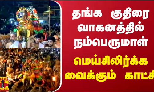 தங்க குதிரை வாகனத்தில் நம்பெருமாள் - மெய்சிலிர்க்க வைக்கும் காட்சி