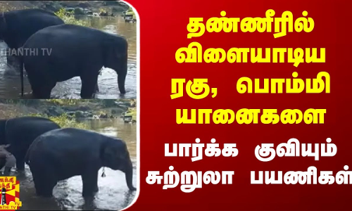 தண்ணீரில் விளையாடிய ரகு, பொம்மி யானைகளை பார்க்க குவியும் சுற்றுலா பயணிகள்