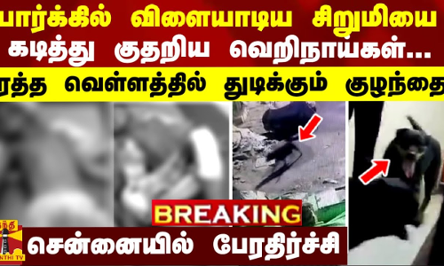 BREAKING || பார்க்கில் விளையாடிய சிறுமியை கடித்து குதறிய வெறிநாய்கள்... சென்னையில் பேரதிர்ச்சி