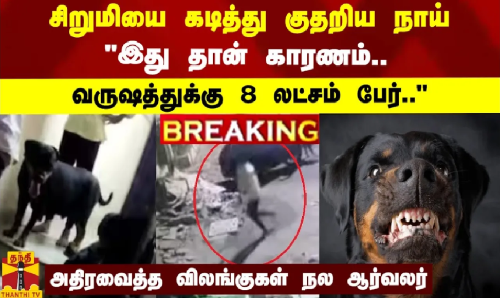 #BREAKING || சிறுமியை கடித்து குதறிய நாய்.. இது தான் காரணம்.. வருஷத்துக்கு 8 லட்சம் பேர்.. - அதிர்ச்சி தகவல்களை சொன்ன சமூக ஆர்வலர் #BREAKING || சிறுமியை கடித்து குதறிய நாய்.. இது தான் காரணம்.. வருஷத்துக்கு 8 லட்சம் பேர்.. - அதிர்ச்சி தகவல்களை சொன்ன சமூக ஆர்வலர்