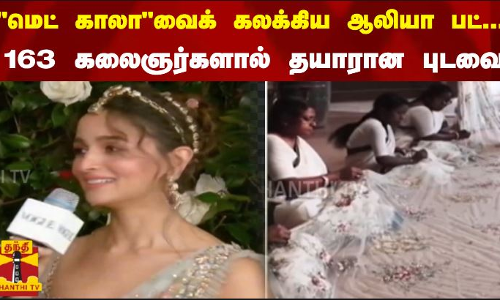மெட் காலாவைக் கலக்கிய ஆலியா பட்... 163 கலைஞர்களால் தயாரான புடவை