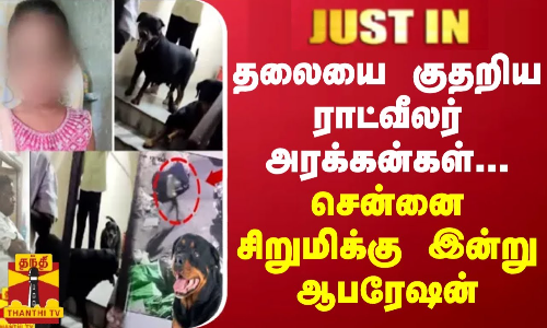 JUSTIN || தலையை குதறிய ராட்வீலர் நாய்கள்... சென்னை சிறுமிக்கு இன்று ஆபரேஷன் JUSTIN || தலையை குதறிய ராட்வீலர் நாய்கள்... சென்னை சிறுமிக்கு இன்று ஆபரேஷன்