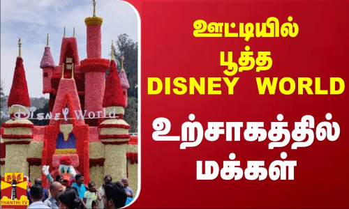 ஊட்டியில் பூத்த DISNEY WORLD - உற்சாகத்தில் மக்கள்