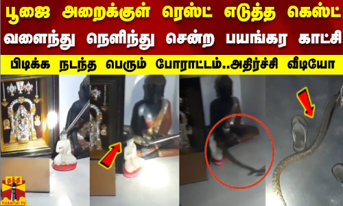 பூஜை அறைக்குள் ரெஸ்ட் எடுத்த கெஸ்ட்..நெளிந்து சென்ற பயங்கர காட்சி...பிடிக்க நடந்த பெரும் போராட்டம்