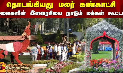 தொடங்கியது மலர் கண்காட்சி.. மலைகளின் இளவரசியை நாடும் மக்கள் கூட்டம் | Flower Exhibition