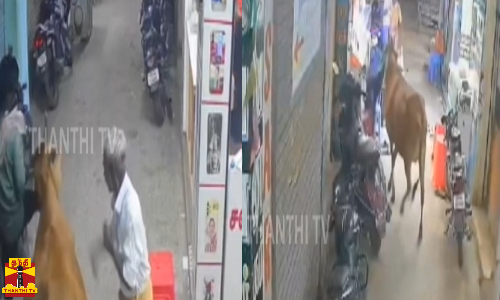 சீர்காழியில் சிறுவன் உள்ளிட்ட 2 பேரை முட்டி தள்ளிய மாடு...முட்டும் சிசிடிவி காட்சிகள் வெளியாகி அதிர்ச்சி