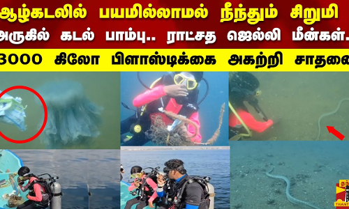 ஆழ்கடலில் பயமில்லாமல் நீந்தும் சிறுமி அருகில் கடல் பாம்பு.. ராட்சத ஜெல்லி மீன்கள்.. ஆழ்கடலில் பயமில்லாமல் நீந்தும் சிறுமி அருகில் கடல் பாம்பு.. ராட்சத ஜெல்லி மீன்கள்..