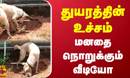 துயரத்தின் உச்சம் - மனதை நொறுக்கும் வீடியோ