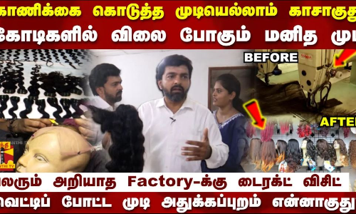 கோடிகளில் விலை போகும் மனித முடி..பலரும் அறியாத Factory-க்கு டைரக்ட் விசிட்.. WIG Factory