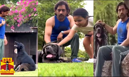 இன்று தந்தையர் தினம்... தோனியின் மகள் பகிர்ந்த வீடியோ