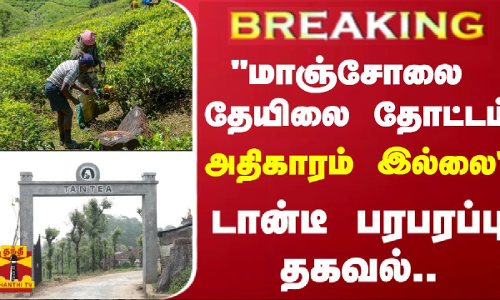 #BREAKING | மாஞ்சோலை தேயிலை தோட்டம் -  அதிகாரம் இல்லை - டான்டீ பரபரப்பு தகவல்..