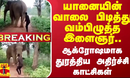 #BREAKING || யானையின் வாலை பிடித்து வம்பிழுத்த இளைஞர்.. ஆக்ரோஷமாக துரத்திய அதிர்ச்சி காட்சிகள்