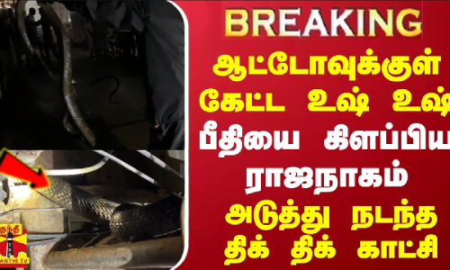 #BREAKING || ஆட்டோவுக்குள் கேட்ட உஷ் உஷ்.. பீதியை கிளப்பிய ராஜநாகம் - அடுத்து நடந்த திக் திக் காட்சி