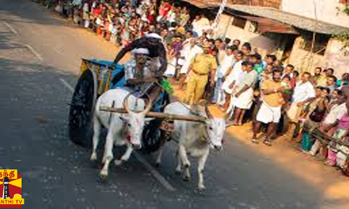 கோவில் திருவிழாவில் மாபெரும் மாட்டு வண்டி பந்தயம்