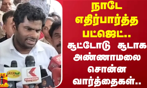 நாடே எதிர்பார்த்த பட்ஜெட்..சூட்டோடு சூடாக அண்ணாமலை சொன்ன வார்த்தைகள்..| Annamalai | Budget 2024