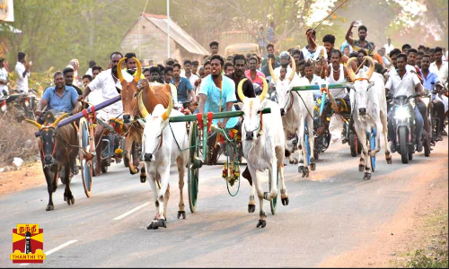 மாட்டு வண்டி பந்தயம் கோலாகலம் - சீறி பாய்ந்து சென்ற மாட்டு வண்டிகள்