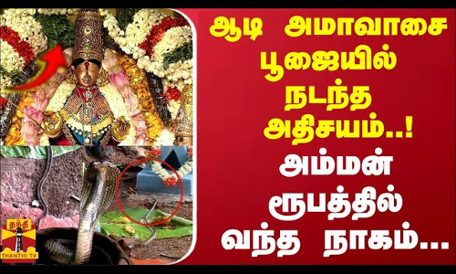 ஆடி அமாவாசை பூஜையில் நடந்த அதிசயம்..! அம்மன் ரூபத்தில் வந்த நாகம்... ஆடி அமாவாசை பூஜையில் நடந்த அதிசயம்..! அம்மன் ரூபத்தில் வந்த நாகம்...
