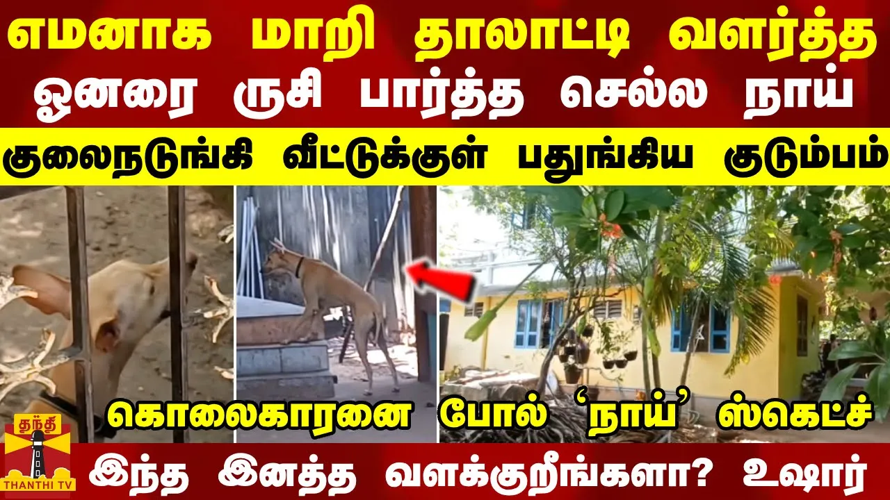 எமனாக மாறி தாலாட்டி வளர்த்த ஓனரை ருசி பார்த்த செல்ல நாய்.குலைநடுங்கி வீட்டுக்குள் பதுங்கிய குடும்பம்