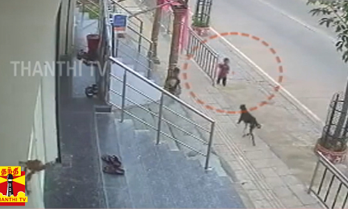 ஒன்றரை வயது குழந்தையை தாக்கும் தெருநாய்