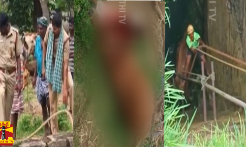 கிணற்றில் தவறி விழுந்த மாடு பலி - கண்ணீர் விட்ட உரிமையாளர்