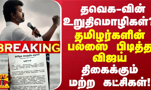BREAKING || தவெக-வின் உறுதிமொழிகள்? - தமிழர்களின் பல்ஸை பிடித்த விஜய்...திகைக்கும் மற்ற கட்சிகள்! BREAKING || தவெக-வின் உறுதிமொழிகள்? - தமிழர்களின் பல்ஸை பிடித்த விஜய்...திகைக்கும் மற்ற கட்சிகள்!