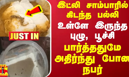 #JUSTIN || இட்லி சாம்பாரில் கிடந்த பல்லி.. உள்ளே இருந்த புழு, பூச்சி -பார்த்ததுமே அதிர்ந்து போன நபர்