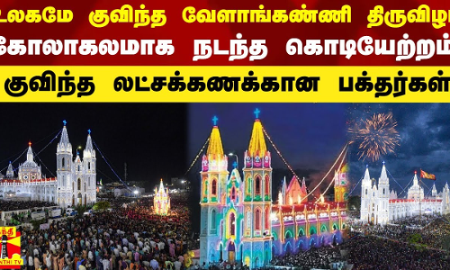உலகமே குவிந்த வேளாங்கண்ணி திருவிழா.. கோலாகலமாக நடந்த கொடியேற்றம் - குவிந்த லட்சக்கணக்கான பக்தர்கள்