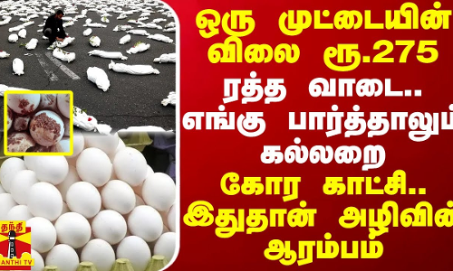 ஒரு முட்டையின் விலை ரூ.275.. ரத்த வாடை.. எங்கு பார்த்தாலும் கல்லறை - கோர காட்சி.. அழிவின் ஆரம்பம்