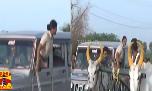 மாட்டு வண்டிப் பந்தயம்-போக்குவரத்து நெரிசல்-பெண் காவல் ஆய்வாளர்