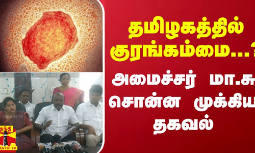 தமிழகத்தில் குரங்கம்மை...? - அமைச்சர் மா.சு சொன்ன முக்கிய தகவல் தமிழகத்தில் குரங்கம்மை...? - அமைச்சர் மா.சு சொன்ன முக்கிய தகவல்