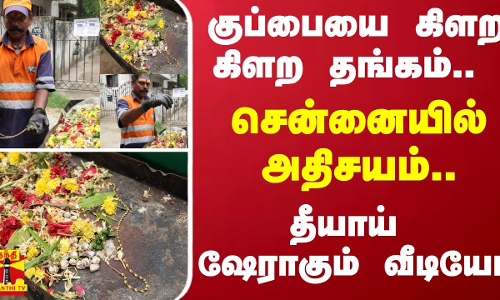 குப்பையை கிளற கிளற தங்கம்.. சென்னையில் அதிசயம்.. தீயாய் ஷேராகும் வீடியோ