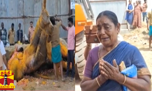 கோவில் யானை மரணம் - கதறி அழுத பெண் கோவில் யானை மரணம் - கதறி அழுத பெண்