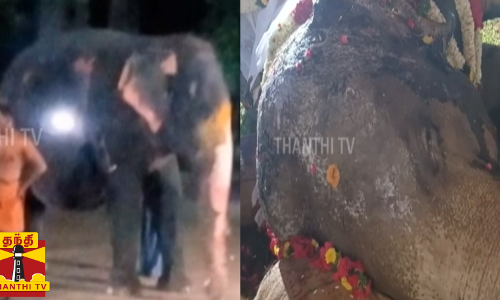 குன்றக்குடி கோயில் யானை சுப்புலட்சுமிக்கு பக்தர்கள் கண்ணீர் அஞ்சலி