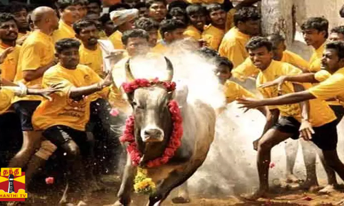 சீறிப்பாய்ந்த காளைகள் - அடக்கிய வீரர்கள்