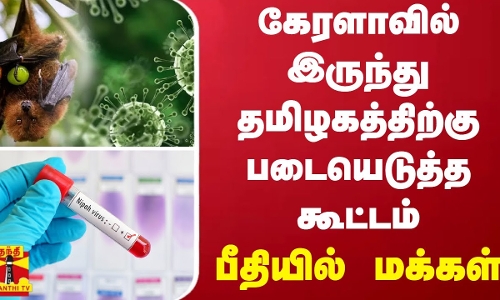 கேரளாவில் இருந்து தமிழகத்திற்கு படையெடுத்த கூட்டம் - பீதியில் மக்கள் கேரளாவில் இருந்து தமிழகத்திற்கு படையெடுத்த கூட்டம் - பீதியில் மக்கள்