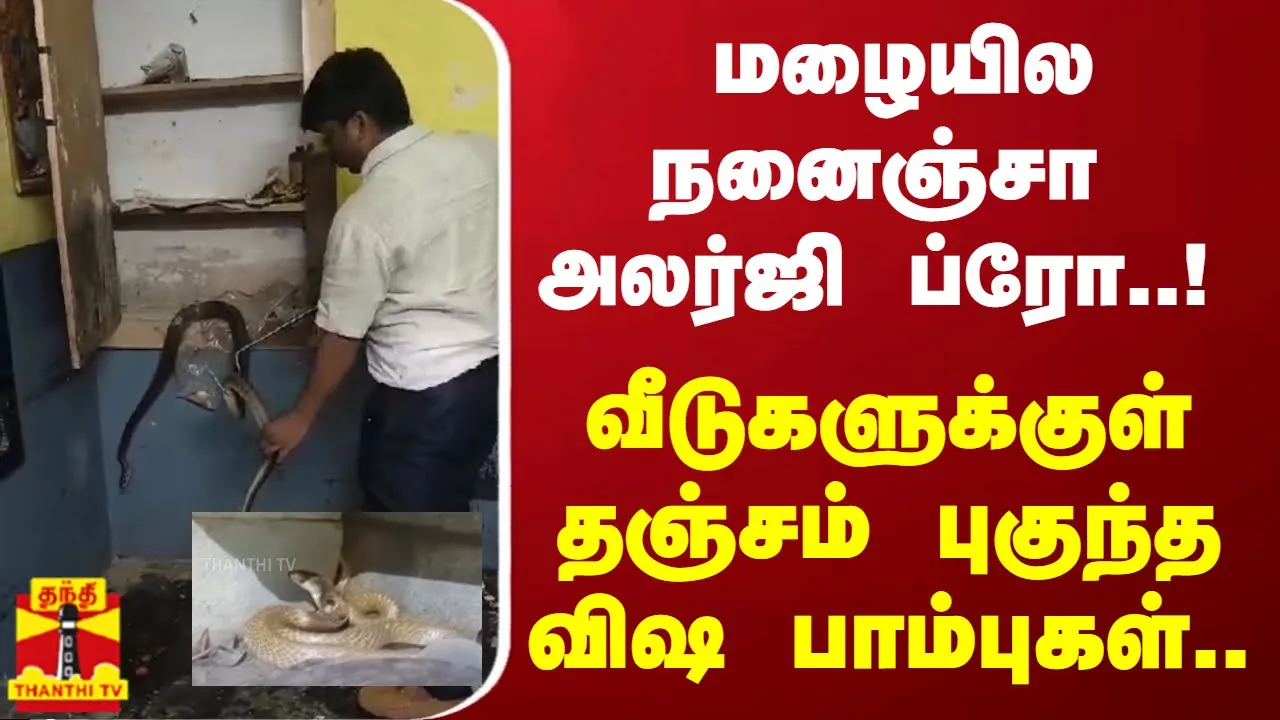 மழையில நனைஞ்சா அலர்ஜி ப்ரோ..! - வீடுகளுக்குள் தஞ்சம் புகுந்த விஷ பாம்புகள்..