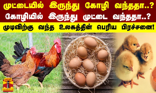 முட்டையில் இருந்து கோழி வந்ததா..? இல்லை கோழியில் இருந்து முட்டை வந்ததா?முடிவிற்கு வந்த பிரச்சனை..!
