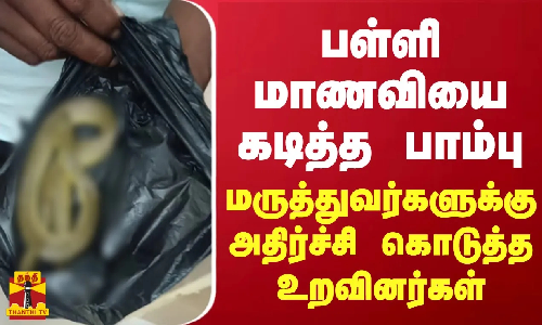 பள்ளி மாணவியை கடித்த பாம்பை அடித்துக் கொன்று, பையில் எடுத்து வந்த சம்பவத்தால் திருத்தணி அரசு மருத்துவமனையில் பரபரப்பு ஏற்பட்டது. பள்ளி மாணவியை கடித்த பாம்பை அடித்துக் கொன்று, பையில் எடுத்து வந்த சம்பவத்தால் திருத்தணி அரசு மருத்துவமனையில் பரபரப்பு ஏற்பட்டது.