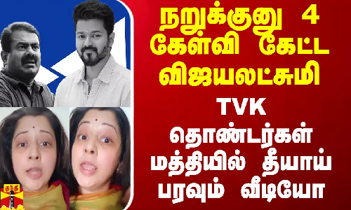 நறுக்குனு 4 கேள்வி கேட்ட விஜயலட்சுமி - TVK தொண்டர்கள் மத்தியில் தீயாய் பரவும் வீடியோ