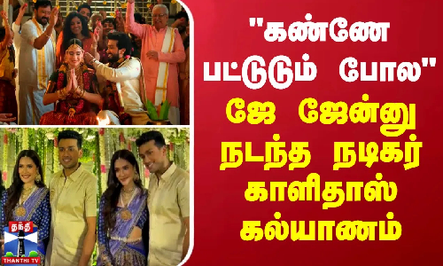 கண்ணே பட்டுடும் போல - ஜே ஜேன்னு நடந்த நடிகர் காளிதாஸ் கல்யாணம்