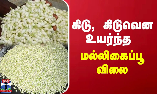 கிடு, கிடுவென உயர்ந்த மல்லிகைப்பூ விலை | Flower