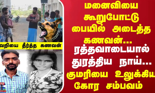 மனைவியை கூறுபோட்டு பையில் அடைத்த கணவன்... ரத்தவாடையால் துரத்தி வந்த நாய்.. குமரியை உலுக்கிய சம்பவம் மனைவியை கூறுபோட்டு பையில் அடைத்த கணவன்... ரத்தவாடையால் துரத்தி வந்த நாய்.. குமரியை உலுக்கிய சம்பவம்