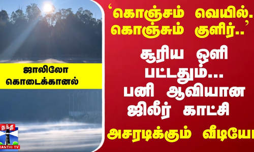 `கொஞ்சம் வெயில்... கொஞ்சும் குளிர்.. சூரிய ஒளி பட்டதும்... பனி ஆவியான ஜிலீர் காட்சி - அசரடிக்கும் வீடியோ