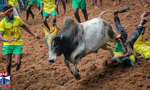 சாதி பெயரை குறிப்பிட்டு காளைகள் அவிழ்க்கப்படாது - அமைச்சர் மூர்த்தி வாக்குறுதி