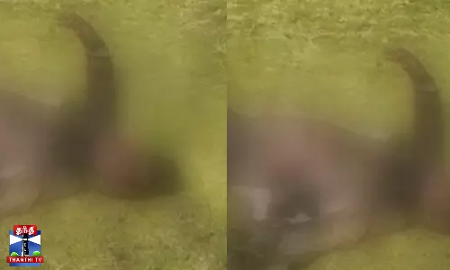 ஆட்சியர் அலுவலகத்தில் தீக்குளித்து தற்கொலைக்கு முயன்ற நபர் - பரபரப்பு