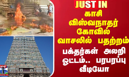 தென்காசி காசி விஸ்வநாதர் கோவில் வாசலில் பதற்றம் - பக்தர்கள் அலறி ஓட்டம்.. பரபரப்பு வீடியோ