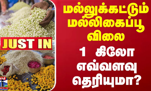 #JUSTIN || மல்லுக்கட்டும் மல்லிகைப்பூ விலை - 1 கிலோ எவ்வளவு தெரியுமா?