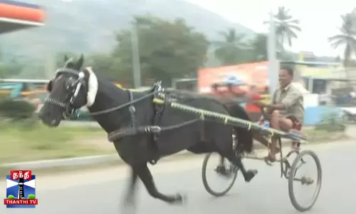குதிரை வண்டி,மாட்டு வண்டிப் பந்தயம்...அதிரடி...சரவெடி...!